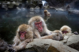 9 reasons why we should take our sleep more seriously