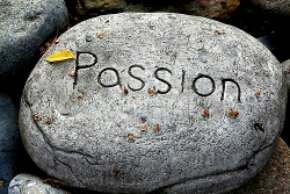Why we should forget 'our passion'