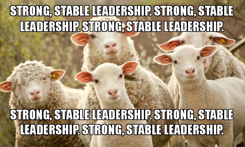 Strong and stable sheep