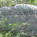 The word 'intelligence' chiselled into a boulder