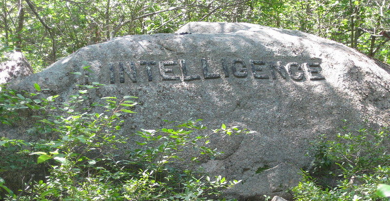 The word 'intelligence' chiselled into a boulder